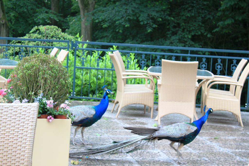 AKZENT Hotel Höxberg Beckum Exteriör bild
